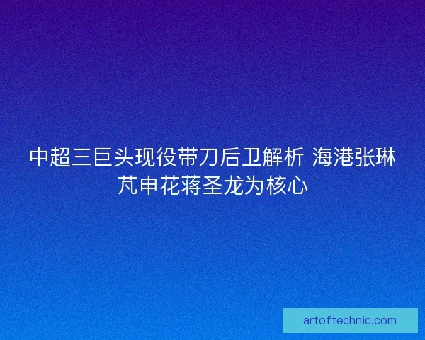 中超三巨头现役带刀后卫解析 海港张琳芃申花蒋圣龙为核心 中超三巨头现役带刀后卫解析 海港张琳芃申花蒋圣龙为核心